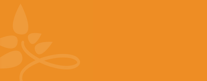 oranje-nieuwspagina851x333