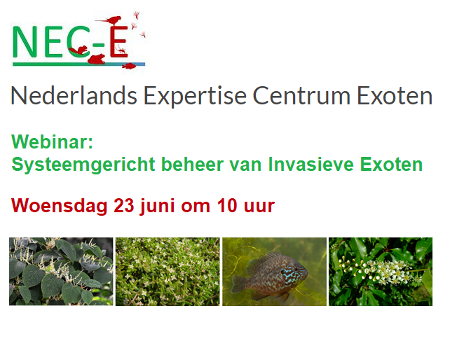 webinar NEC-E